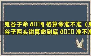 鬼谷子命 🐶 格算命准不准（鬼谷子两头钳算命到底 🐝 准不准）